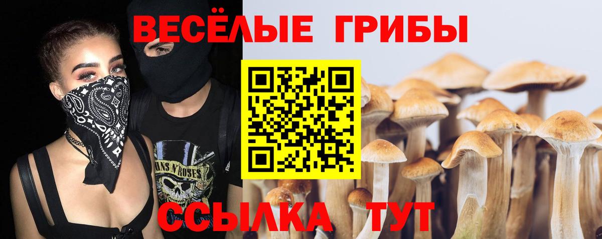 Сердобск  Псилоцибиновые грибы MAGIC MUSHROOMS  Вход с VPN  Псилоцибиновые грибы Cubensis 